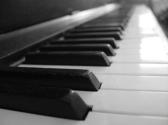 Piano keys or keyboard